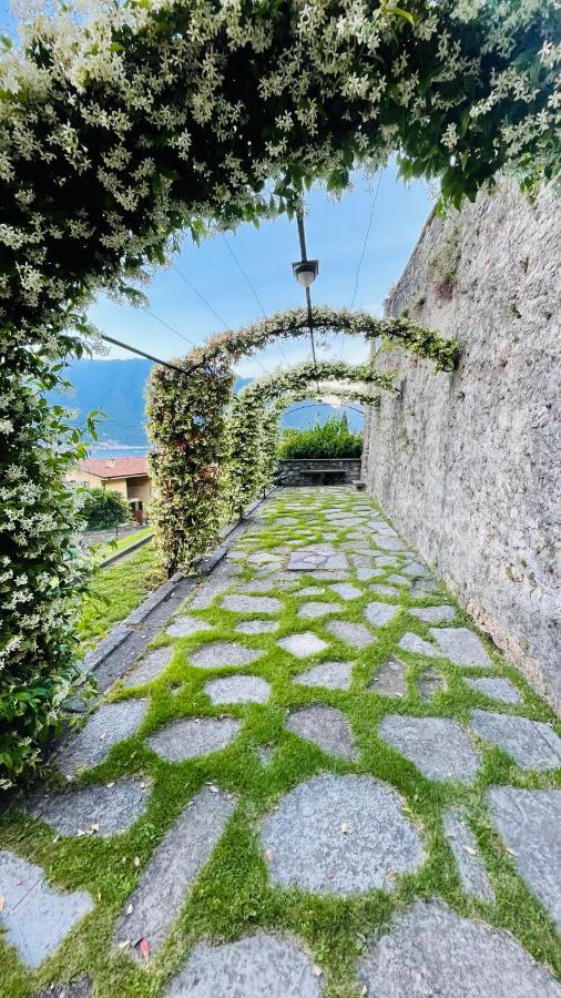 Lake View, Swimming Pool, Tennis Court And Private Parking Mezzegra Exterior photo